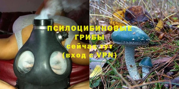 марки nbome Аркадак
