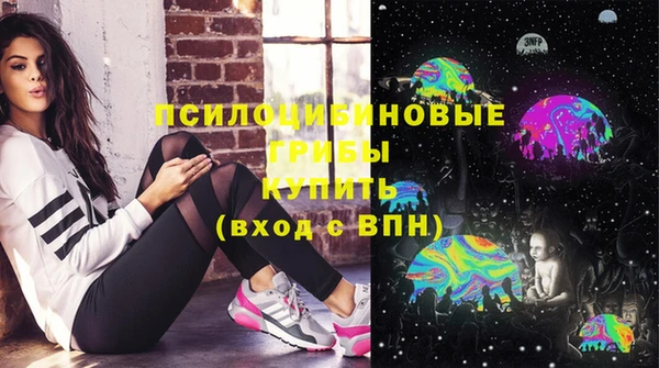 шишки Арсеньев