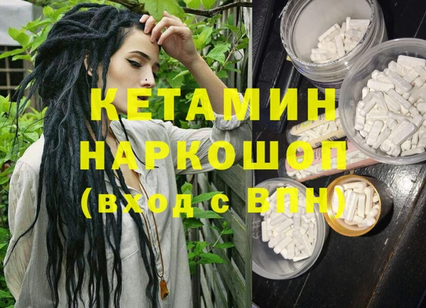 шишки Арсеньев