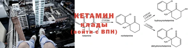 шишки Арсеньев