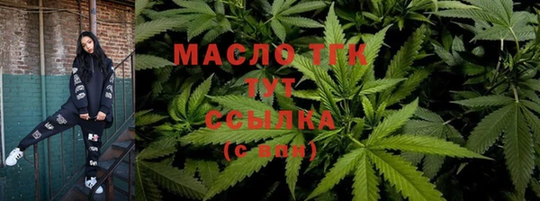 шишки Арсеньев