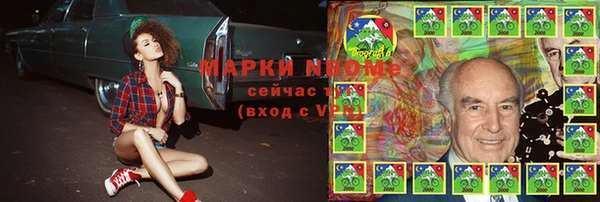 шишки Арсеньев